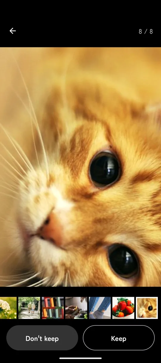 A cat photo shown full screen, with Keep and Don't keep buttons and a strip of photos below